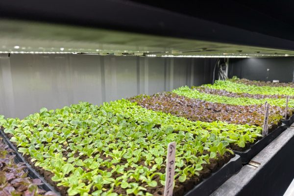 Indoor farm horizontal plant beds